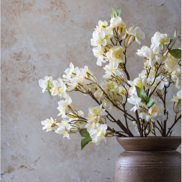 Apricot Blossom Stem