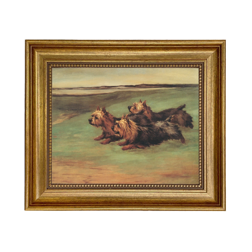 Three Yorkshire Terriers Framed Oil Painting Print On Canvas