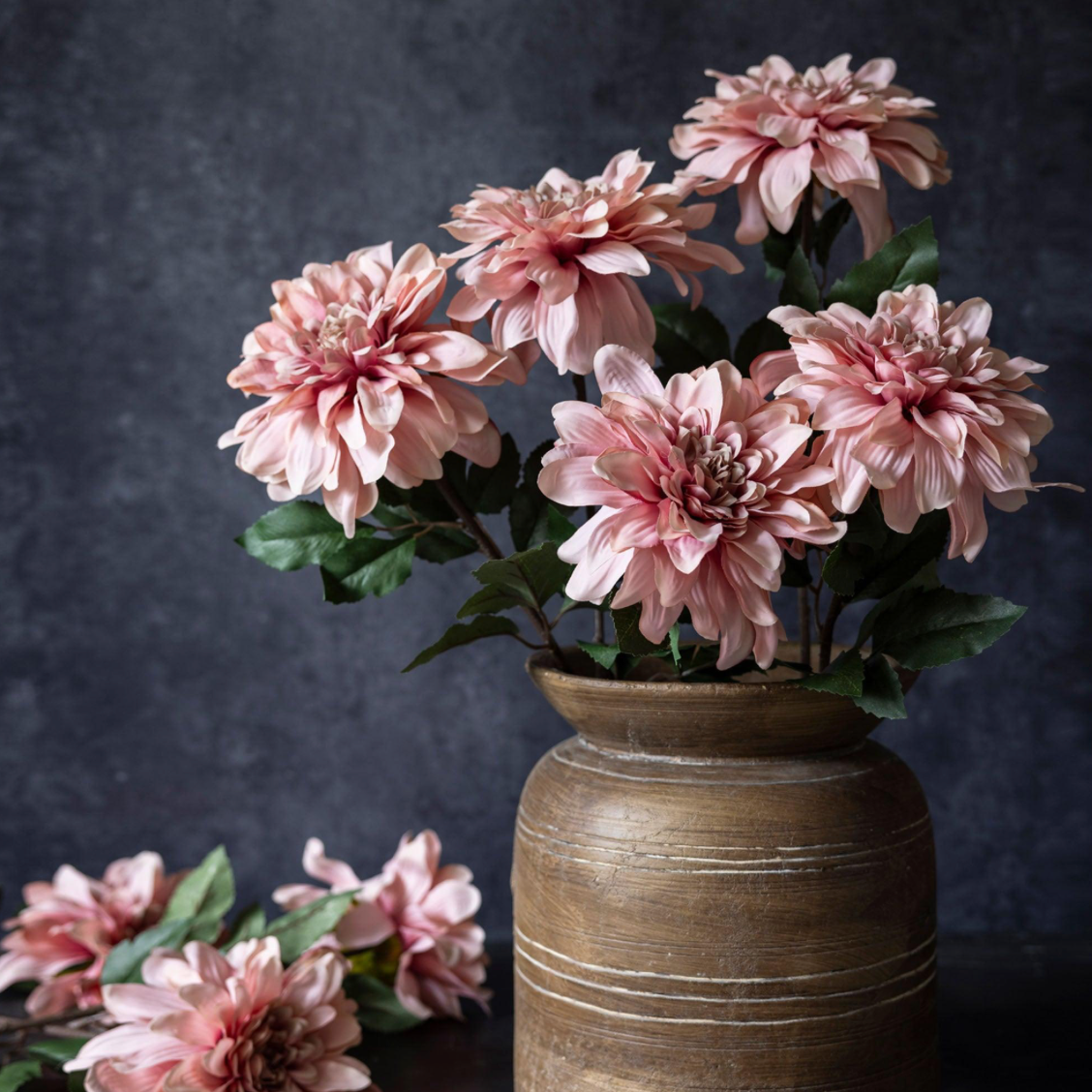 Dahlia Flamingo Stem