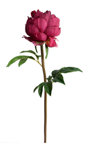 Peony Stem with Leaves, 26"- Dark Fuschia