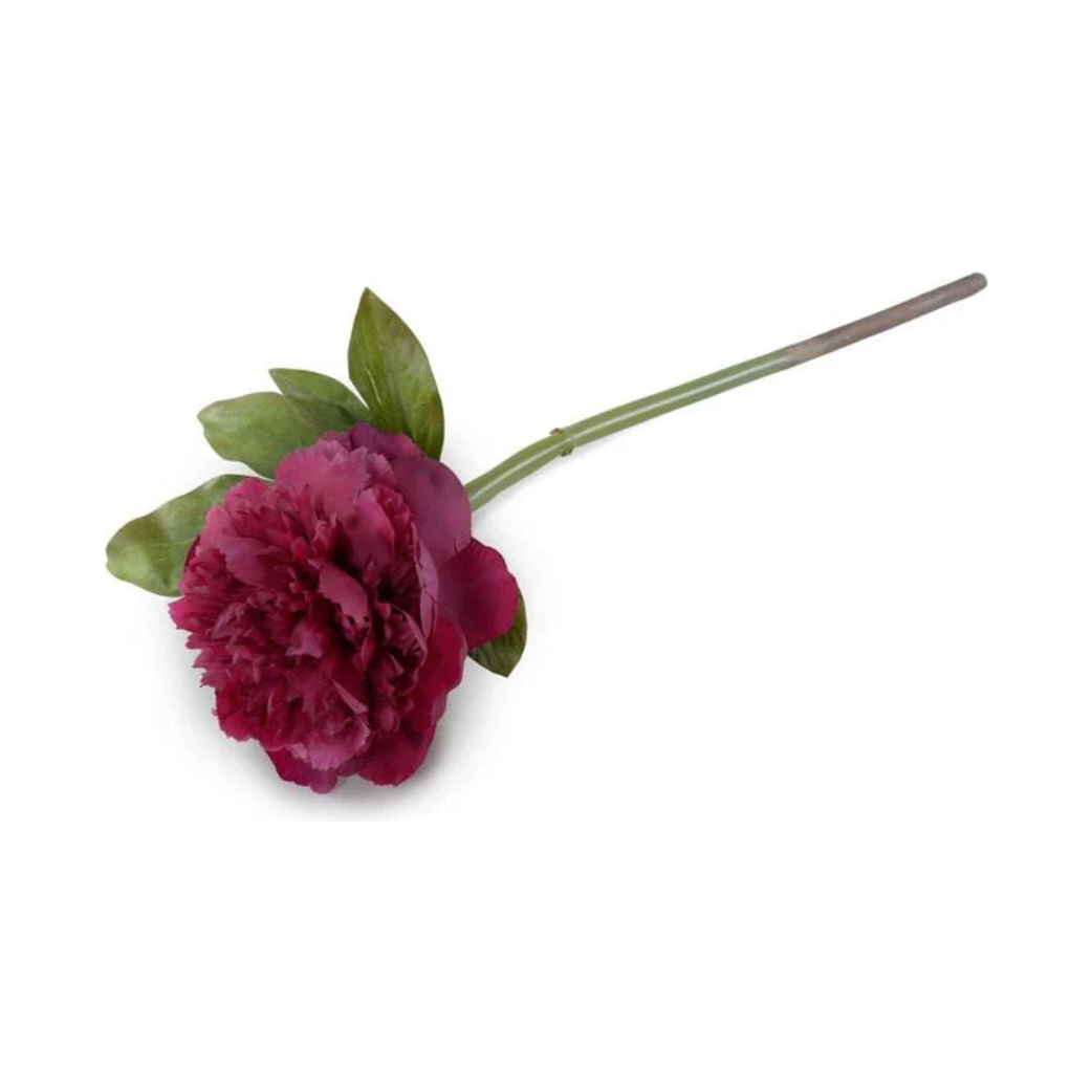 Peony Stem with Leaves, 18