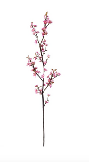 Plum Blossom Branch