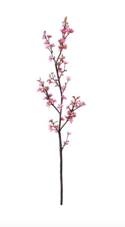 Plum Blossom Branch