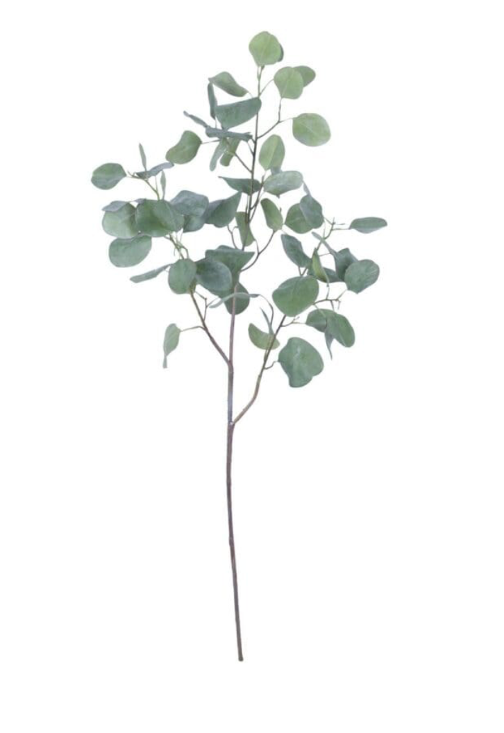 Eucalyptus Spray- 39