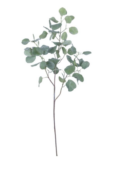 Eucalyptus Spray- 39"