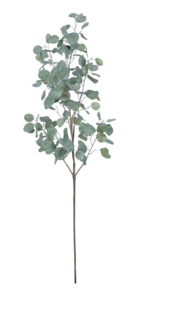 Eucalyptus Spray- 61