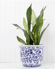 Blue Chinoiserie Planter -Small