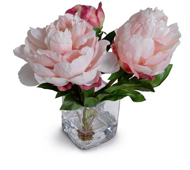 Peony Cutting in Glass- 10"H