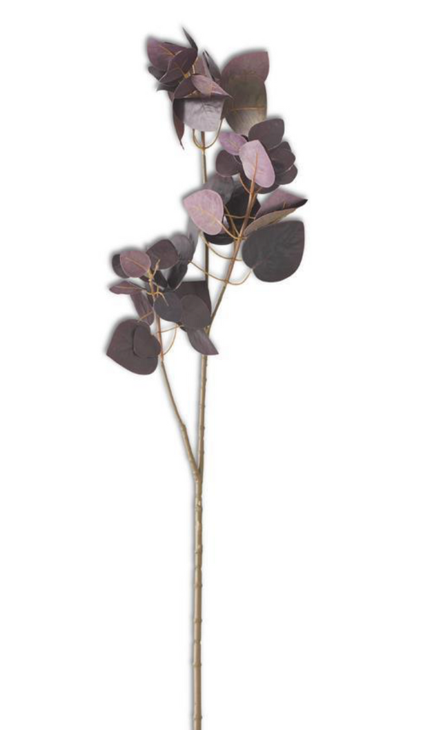 36 in Burgundy Flat Leaf Eucalyptus