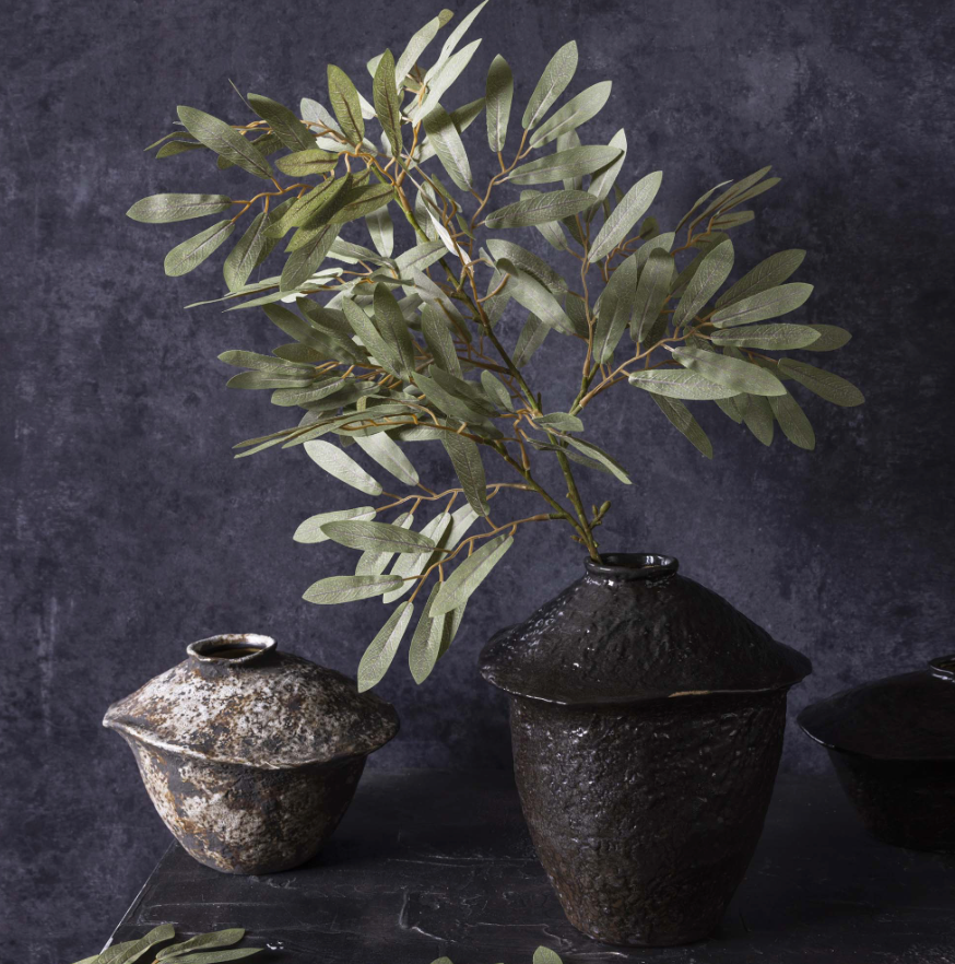 Willow, Soft Green Stem