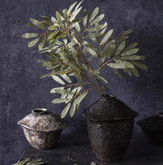 Willow, Soft Green Stem