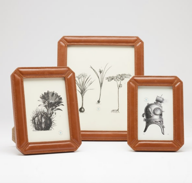 Stanley Frame