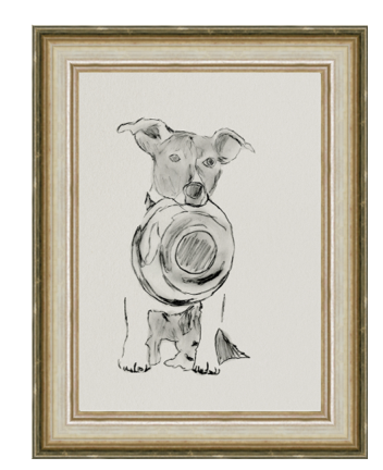 Franky (Silver)