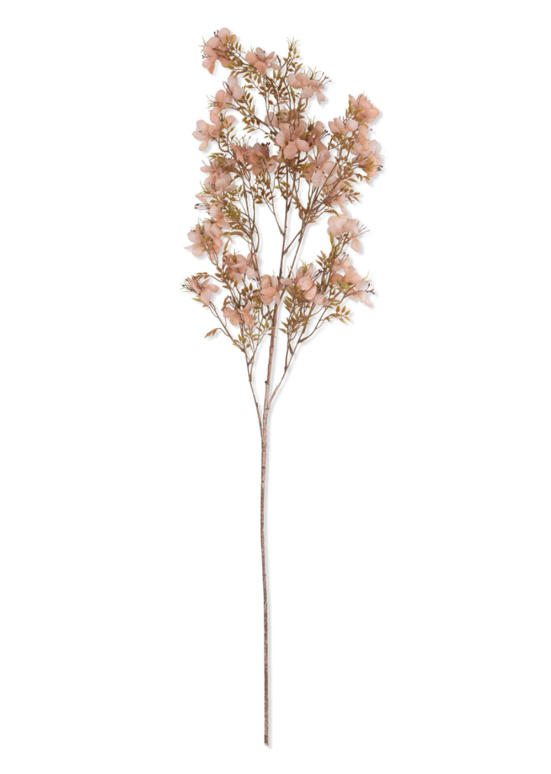 Prunus Blossom Stem