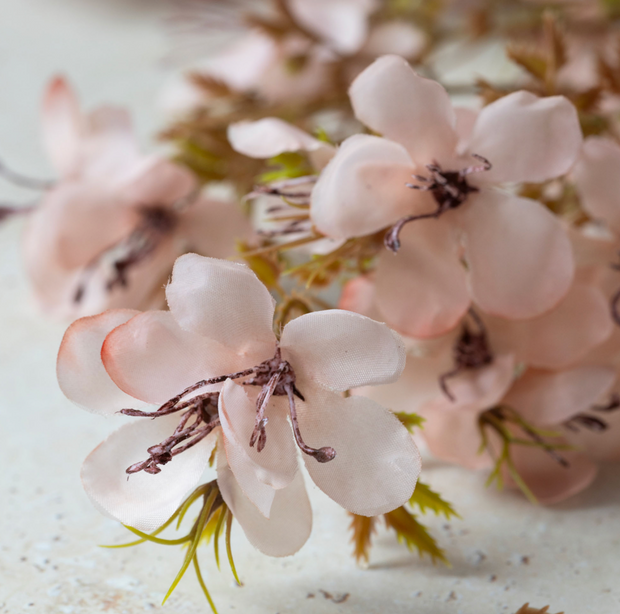 Prunus Blossom Stem