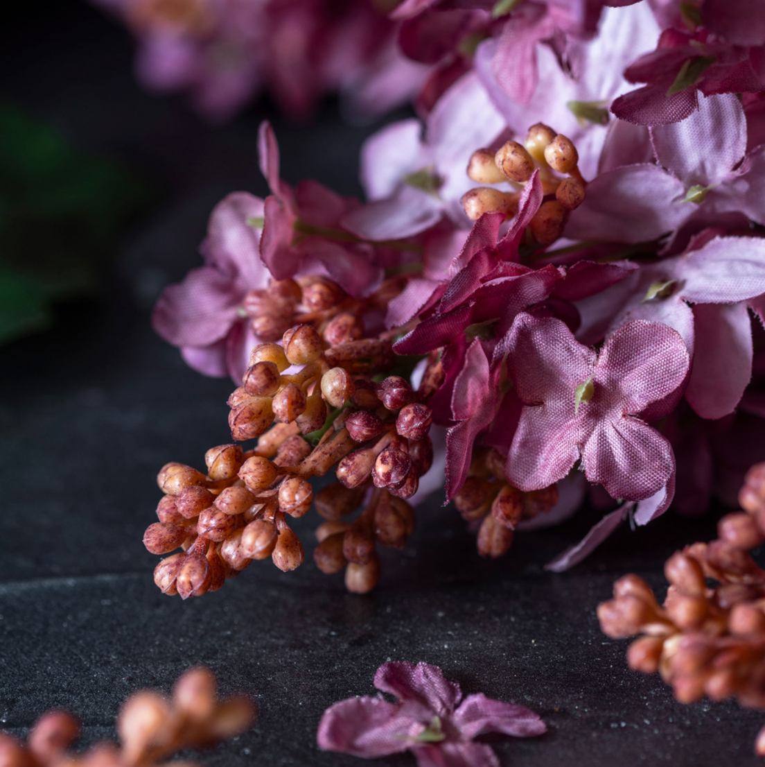 Cone Hydrangea Sunset