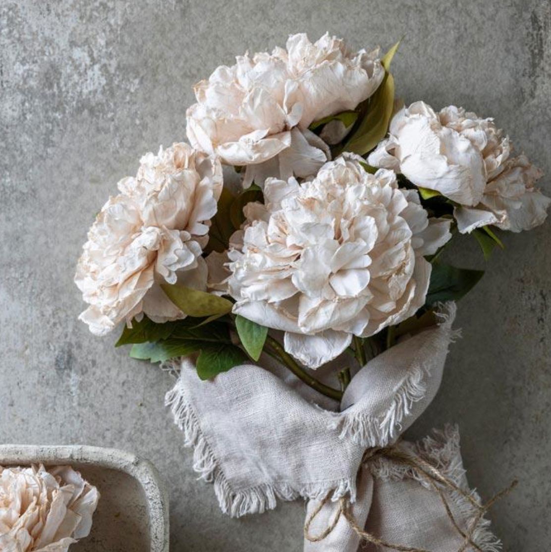 Peony Evening Dew Stem