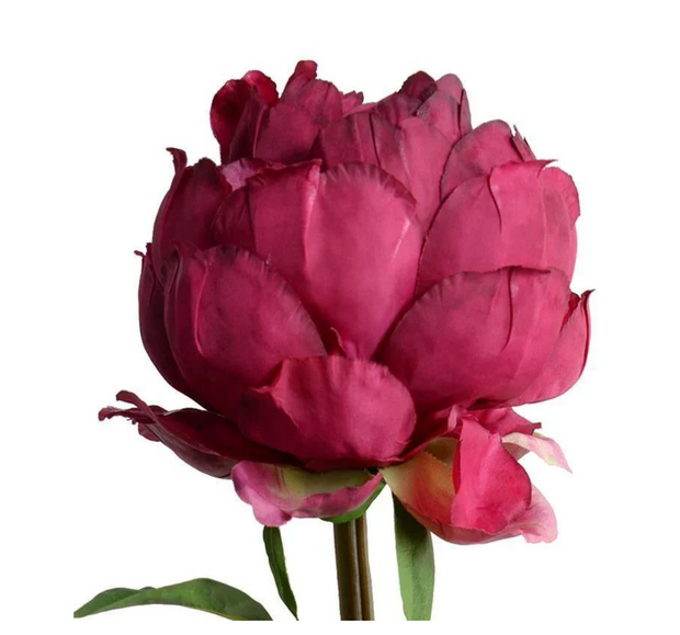 Peony Stem with Leaves, 18" -Beauty