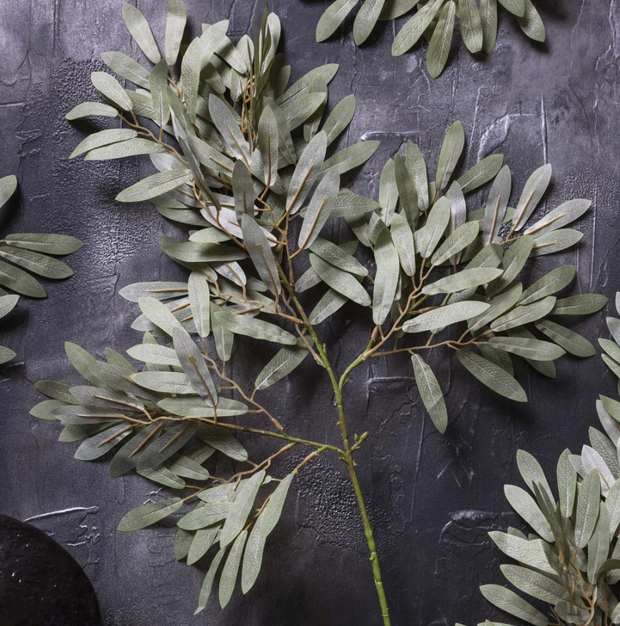 Willow, Soft Green Stem