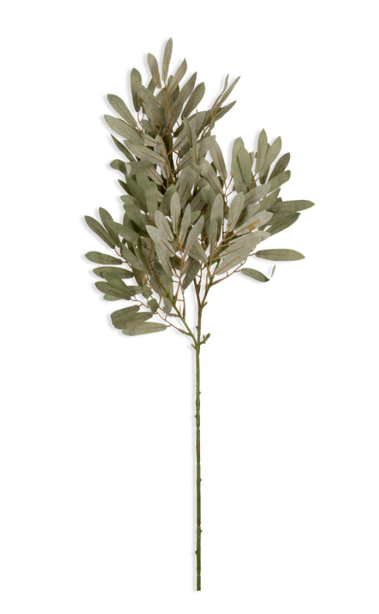 Willow, Soft Green Stem