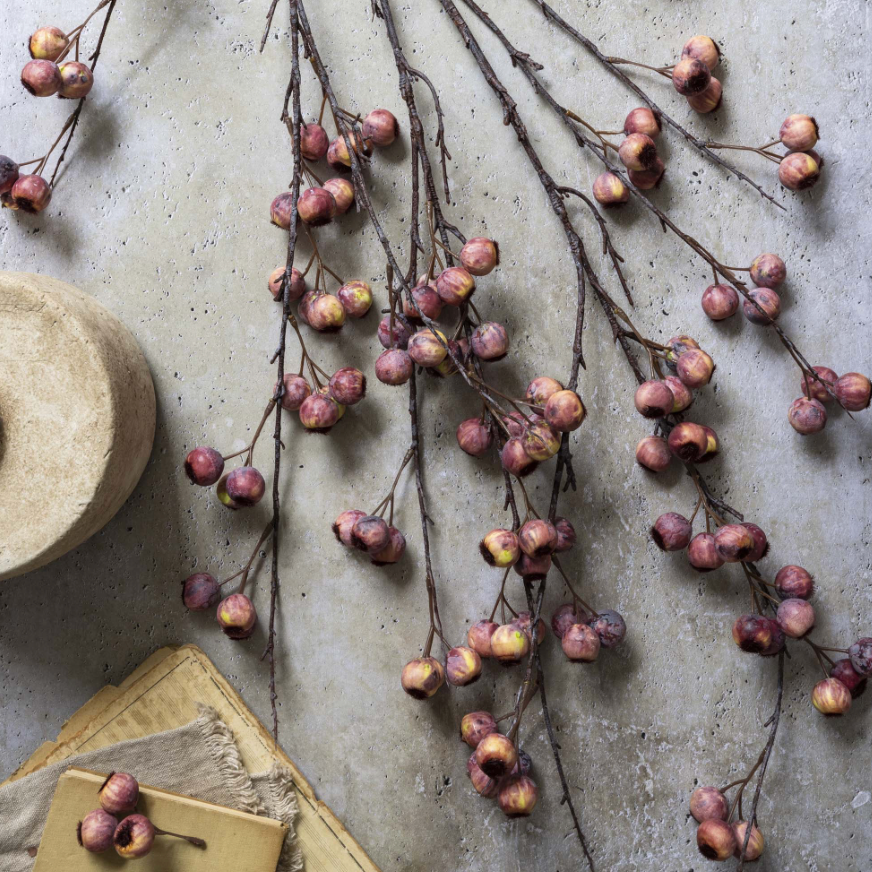 Berry Hawthorn Stem Pink