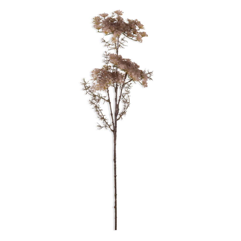 Queen Anne's Lace Stem, Blush