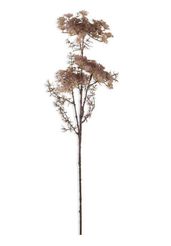 Queen Anne's Lace Stem, Blush