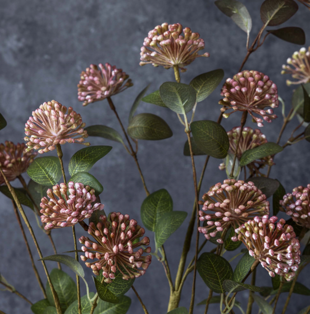 Eucalyptus Berry Stem
