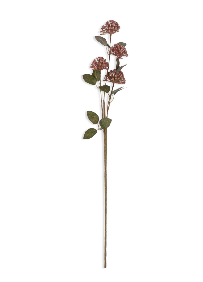 Eucalyptus Berry Stem