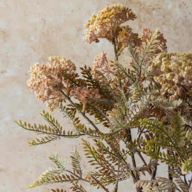Hemlock Stem