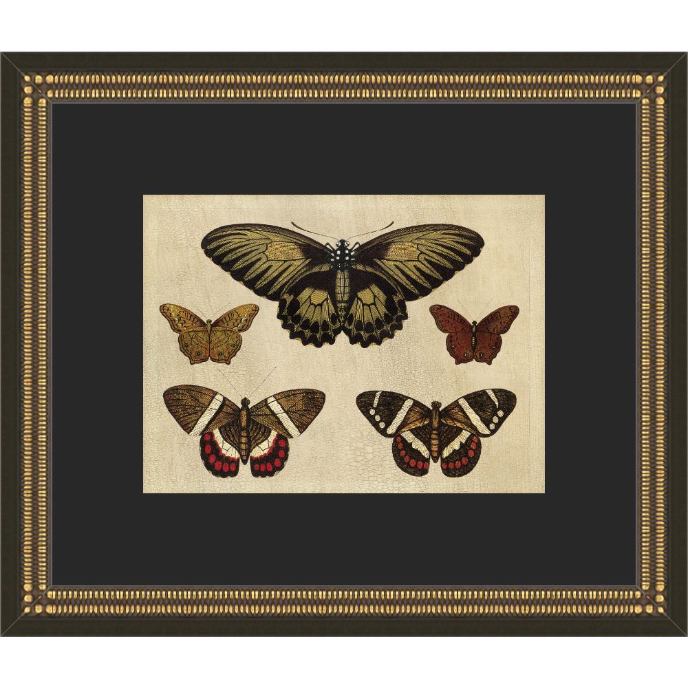 Crackled Butterfly Chart 2