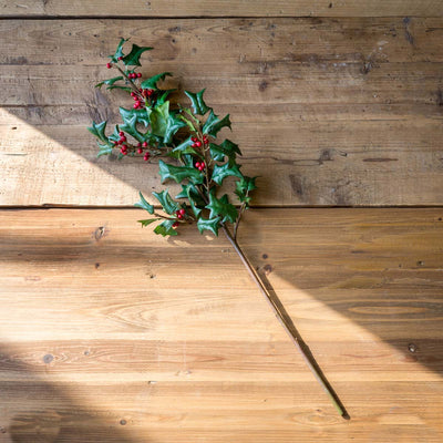 Traditional Holly Stem