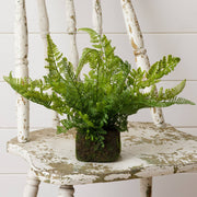 Mossy Faux Fern