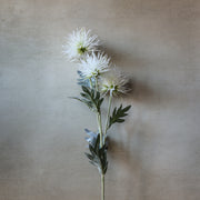 26" White Spikey Cactus Dahlia Stem