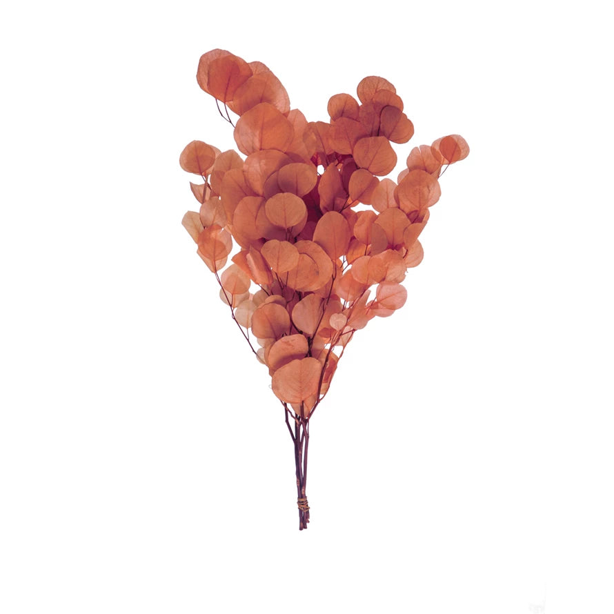 Dried Natural Eucalyptus Bunch