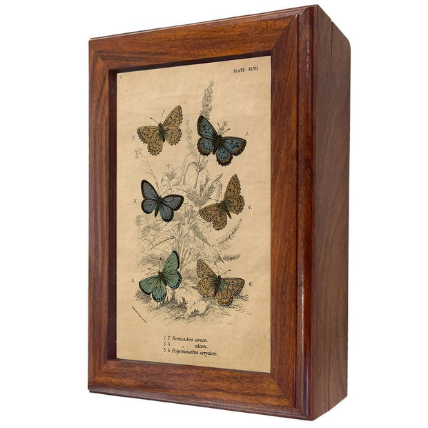 Vintage Butterfly Decorative Solid Wood Trinket Boxes