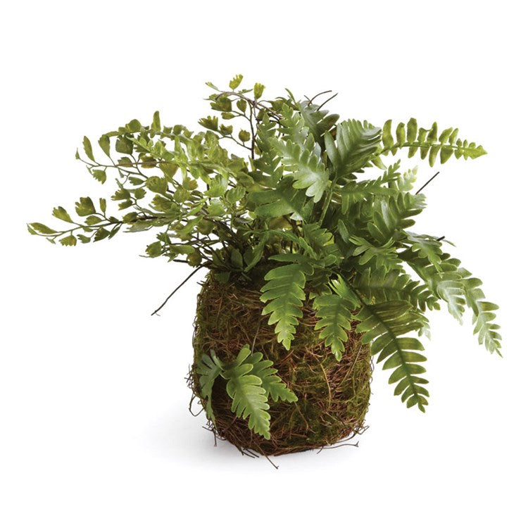 Mixed Fern Drop-In 8