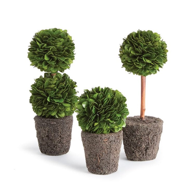 Boxwood Mini Topiary Drop