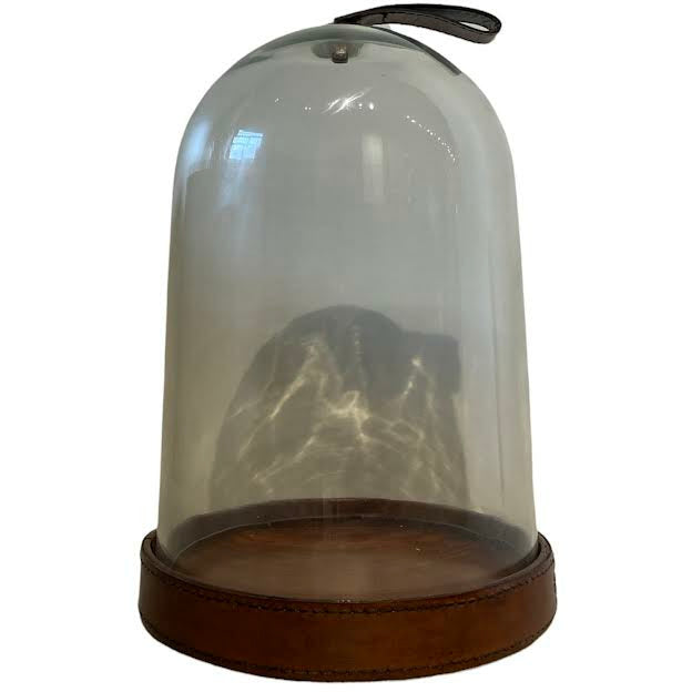Virgil Cloche