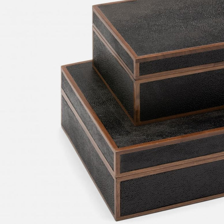 S/2- Dylan Box
