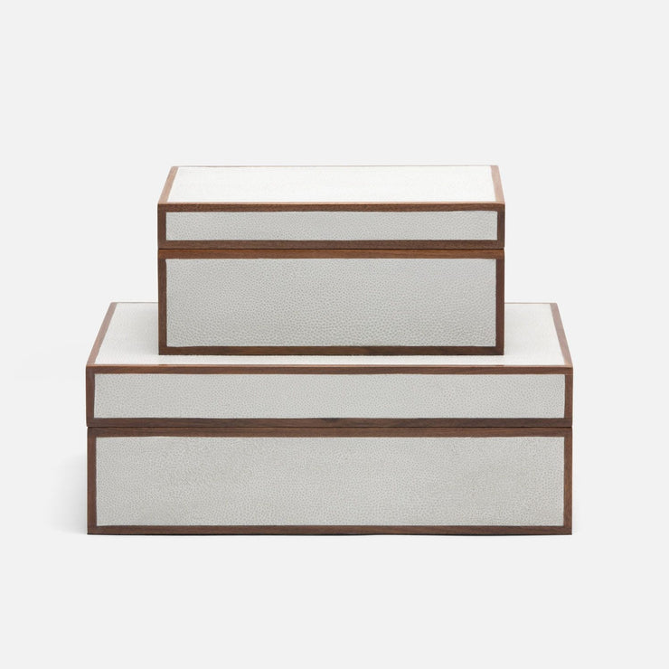 S/2- Dylan Box