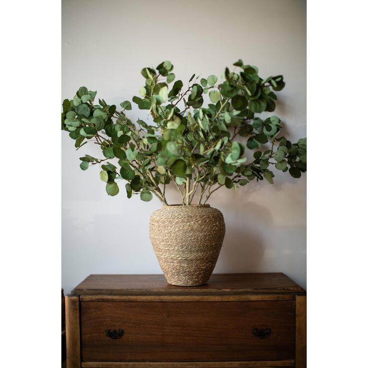 Aspen Branch