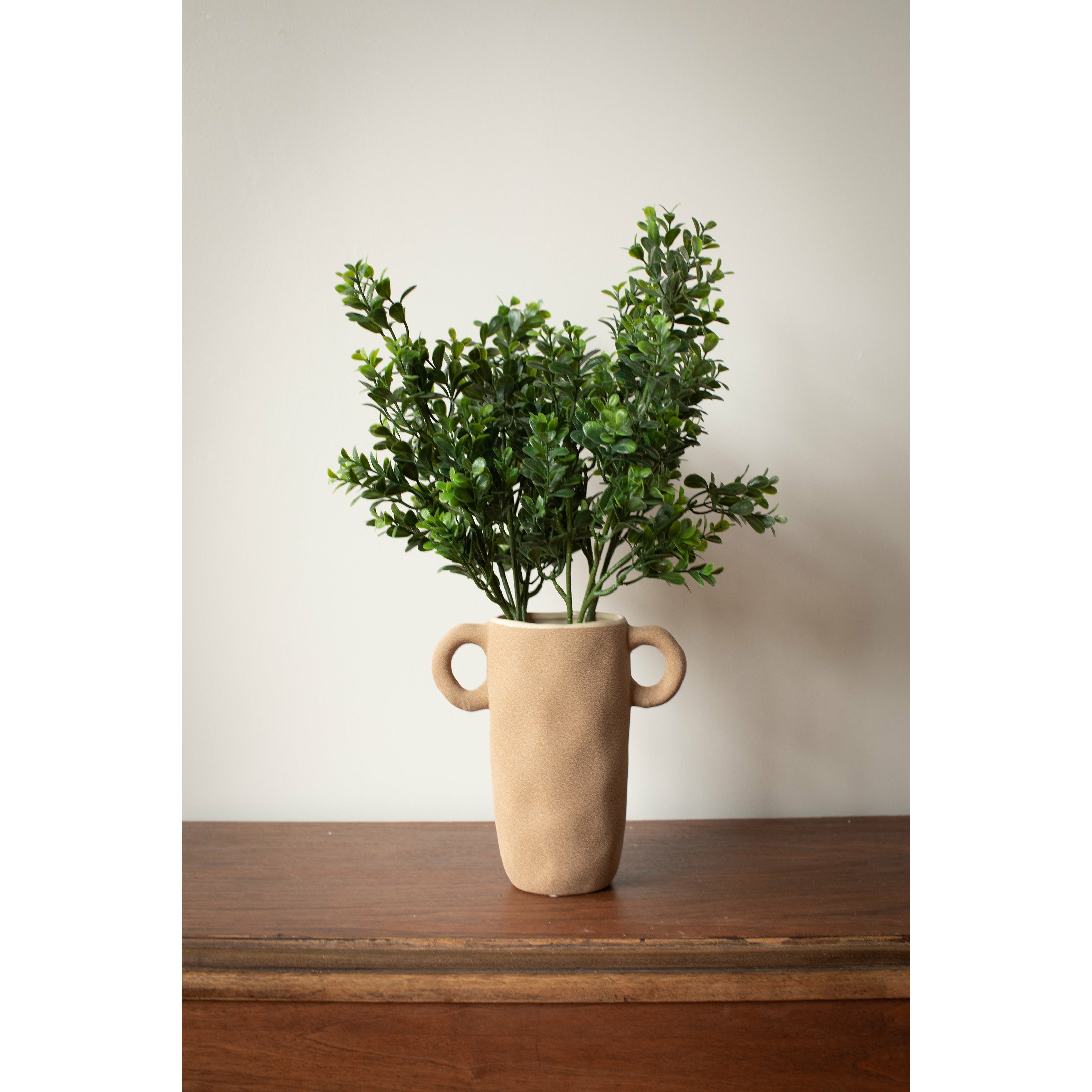 Boxwood Shrub Small Branch, 25.5