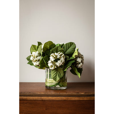 Green & White Hydrangea Bud Arrangement (Wrapped) - Small