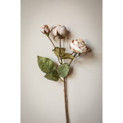 Beige Dried Roses with Bud