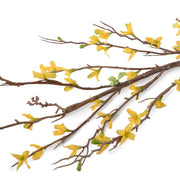 Forsythia Flowering Branch, 49" L - Yellow