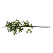 Holly Branch with White Berries, 47" L