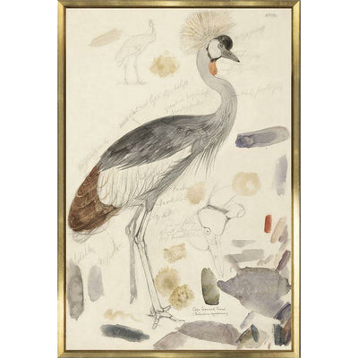 Lear - South African Crowned Crane - Large