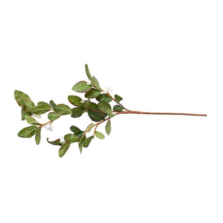 Pomegranate Branch, 32