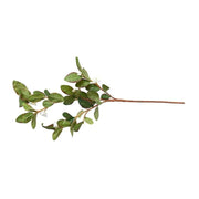 Pomegranate Branch, 32" L - White Flowers